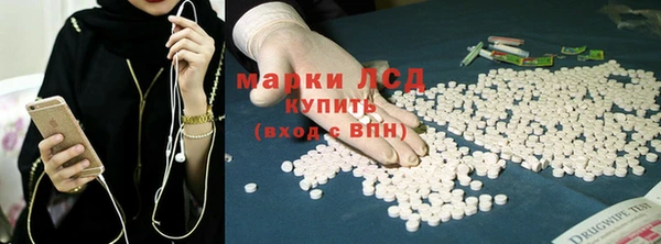 стаф Арсеньев